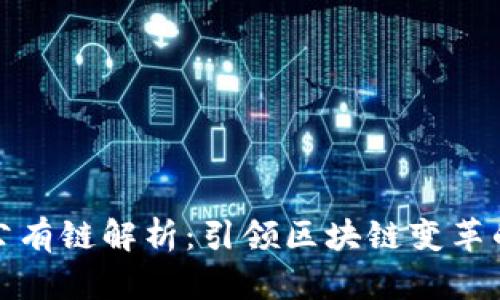 十大公有链解析：引领区块链变革的先锋