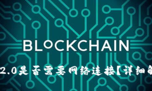 Tokenim 2.0是否需要网络连接？详细解析与说明