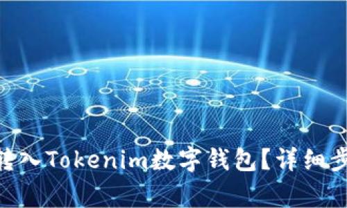 如何将SINOC转入Tokenim数字钱包？详细步骤与注意事项