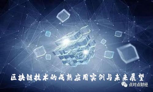区块链技术的成熟应用实例与未来展望