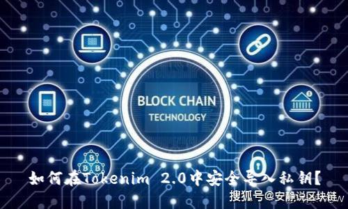 如何在Tokenim 2.0中安全导入私钥？