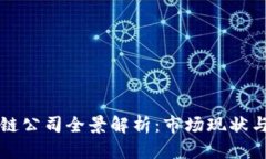 国内区块链公司全景解析：市场现状与未来趋势