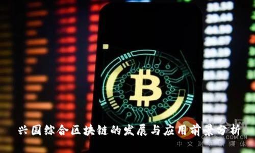 兴国综合区块链的发展与应用前景分析