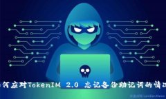如何应对TokenIM 2.0 忘记备份助记词的情况？
