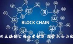 瑞士新兴区块链公司全景解析：投资机会与发展