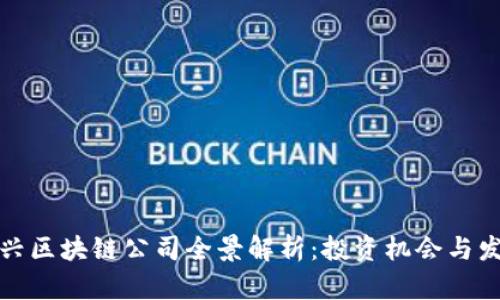 瑞士新兴区块链公司全景解析：投资机会与发展趋势