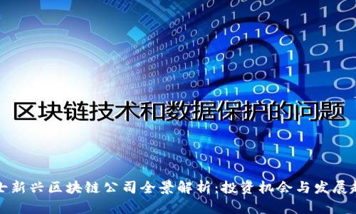 瑞士新兴区块链公司全景解析：投资机会与发展趋势
