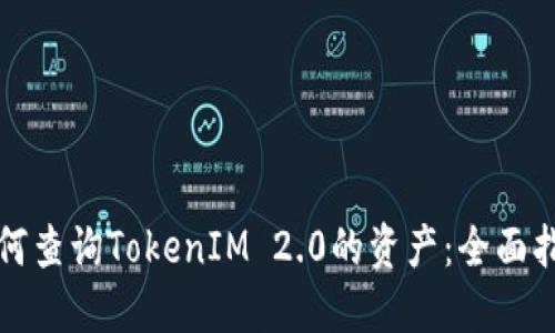 如何查询TokenIM 2.0的资产：全面指南