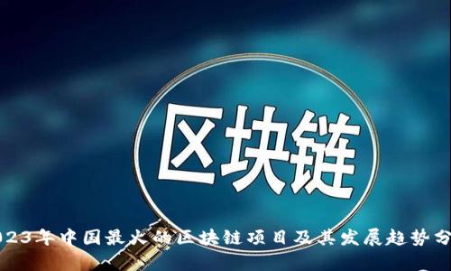 2023年中国最火的区块链项目及其发展趋势分析