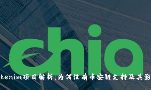 Tokenim项目解析：为何没有币安链支持及其影响