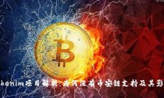 Tokenim项目解析：为何没有币安链支持及其影响