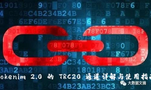 Tokenim 2.0 的 TRC20 通道详解与使用指南