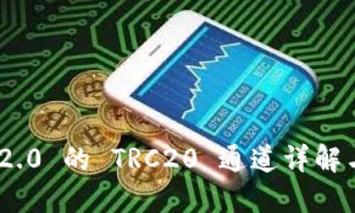 Tokenim 2.0 的 TRC20 通道详解与使用指南