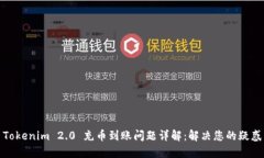 Tokenim 2.0 充币到账问题详解：解决您的疑惑
