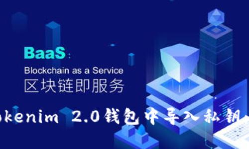 如何在Tokenim 2.0钱包中导入私钥：详细指南