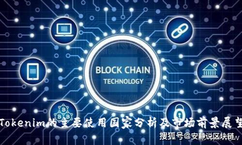 Tokenim的主要使用国家分析及市场前景展望