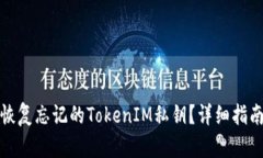 如何找回或恢复忘记的TokenIM私钥？详细指南与解