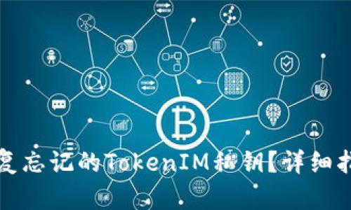 如何找回或恢复忘记的TokenIM私钥？详细指南与解决方案
