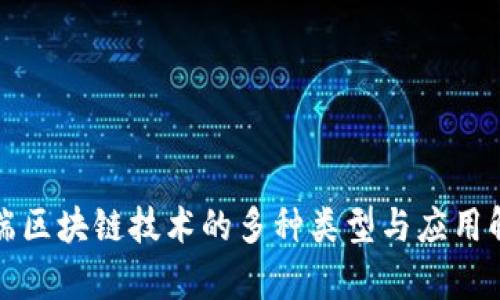 前端区块链技术的多种类型与应用解析