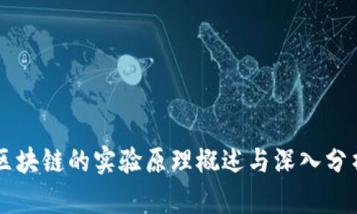 区块链的实验原理概述与深入分析