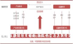 : 正统区块链项目解析：顶级平台与其独特优势