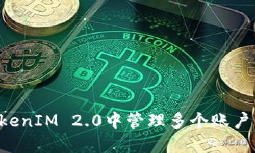 如何在TokenIM 2.0中管理多个账户：全面指南