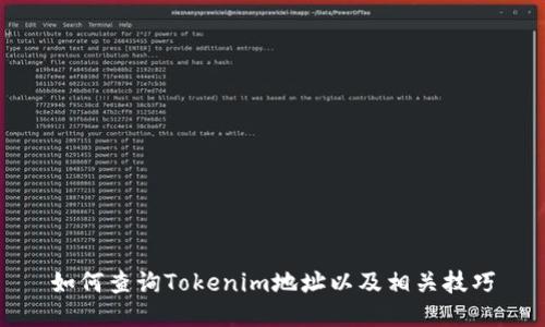 如何查询Tokenim地址以及相关技巧