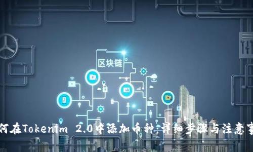 如何在Tokenim 2.0中添加币种：详细步骤与注意事项