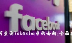如何查询Tokenim币的去向：全面指南